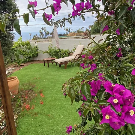 فيلة El Carmen لا لاغونا